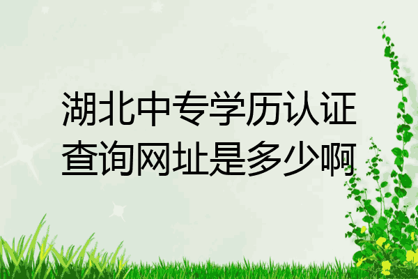 湖北中专学历认证查询网址是多少啊
