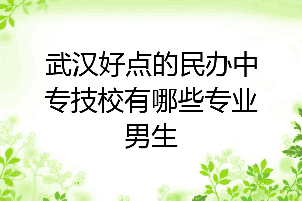 武汉好点的民办中专技校有哪些专业男生