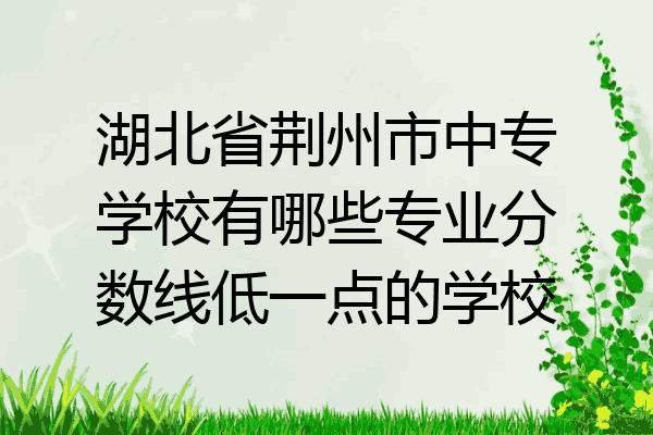 湖北省荆州市中专学校有哪些专业分数线低一点的学校