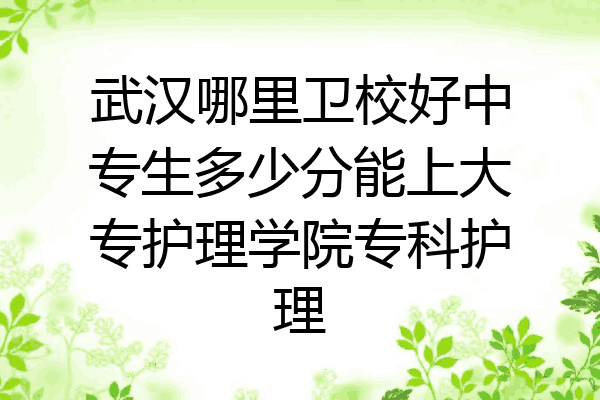 武汉哪里卫校好中专生多少分能上大专护理学院专科护理