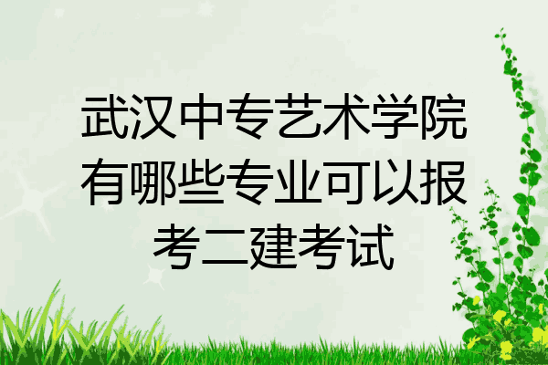 武汉中专艺术学院有哪些专业可以报考二建考试