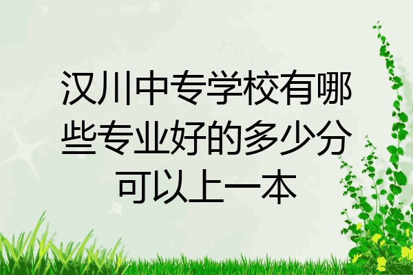 汉川中专学校有哪些专业好的多少分可以上一本