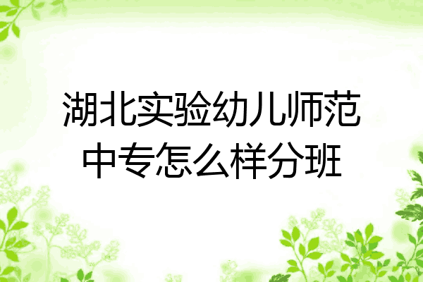 湖北实验幼儿师范中专怎么样分班