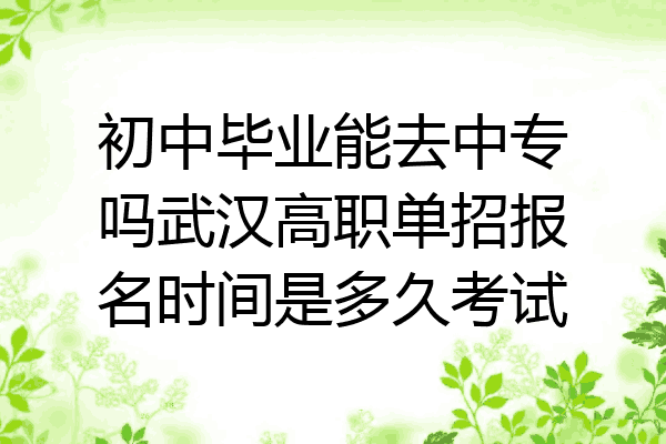 初中毕业能去中专吗武汉高职单招报名时间是多久考试