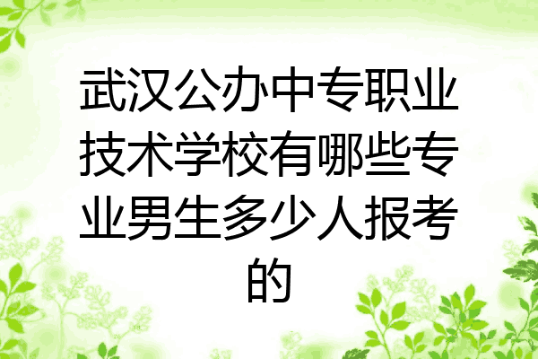 武汉公办中专职业技术学校有哪些专业男生多少人报考的