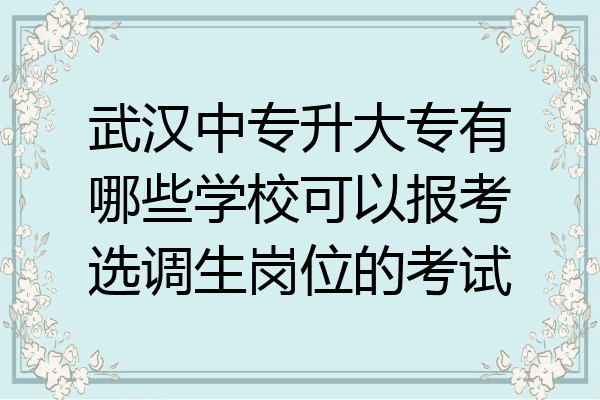 武汉中专升大专有哪些学校可以报考选调生岗位的考试