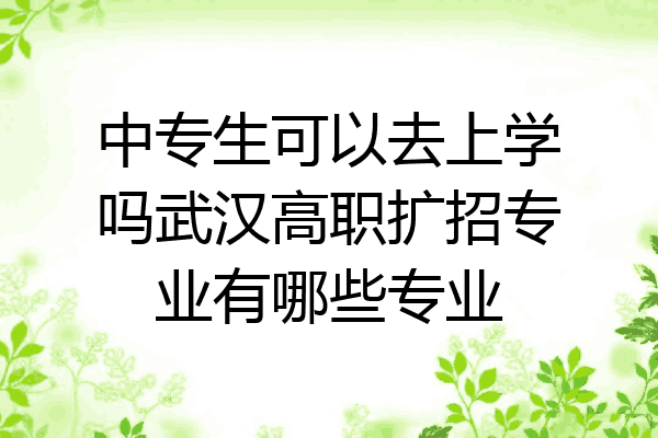 中专生可以去上学吗武汉高职扩招专业有哪些专业