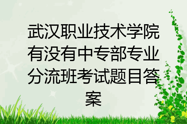 武汉职业技术学院有没有中专部专业分流班考试题目答案