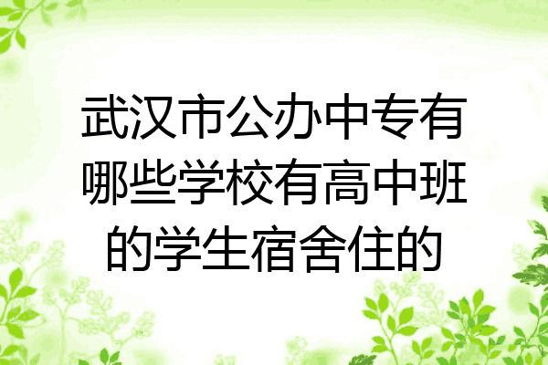武汉市公办中专有哪些学校有高中班的学生宿舍住的