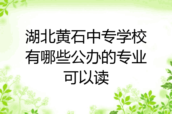 湖北黄石中专学校有哪些公办的专业可以读