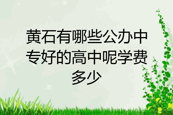 黄石有哪些公办中专好的高中呢学费多少