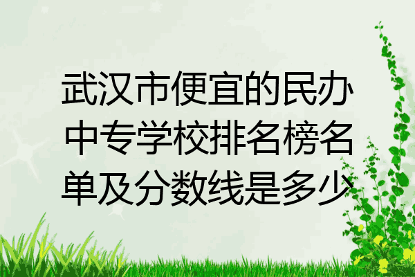 武汉市便宜的民办中专学校排名榜名单及分数线是多少