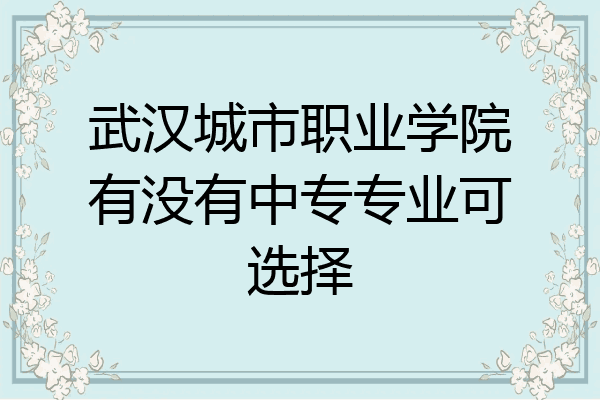 武汉城市职业学院有没有中专专业可选择