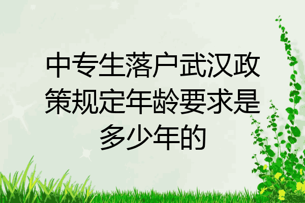 中专生落户武汉政策规定年龄要求是多少年的