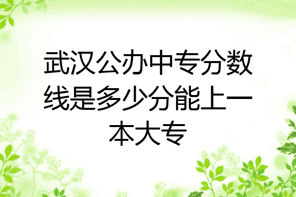 武汉公办中专分数线是多少分能上一本大专