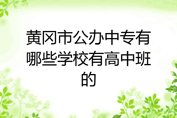 黄冈市公办中专有哪些学校有高中班的