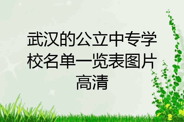武汉的公立中专学校名单一览表图片高清