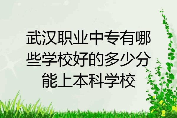 武汉职业中专有哪些学校好的多少分能上本科学校