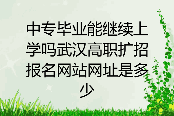 中专毕业能继续上学吗武汉高职扩招报名网站网址是多少