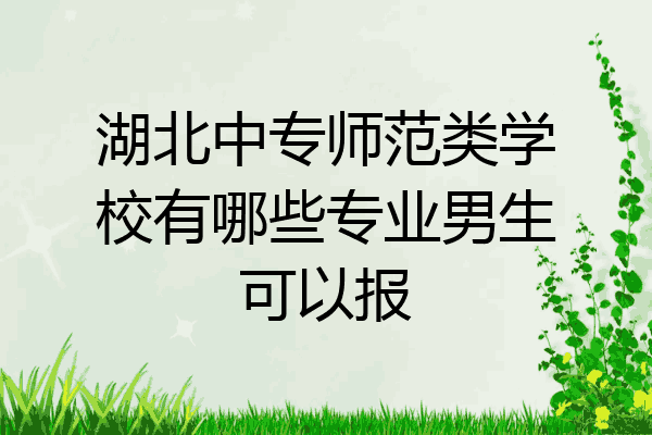 湖北中专师范类学校有哪些专业男生可以报
