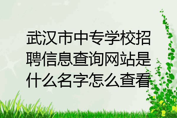 武汉市中专学校招聘信息查询网站是什么名字怎么查看