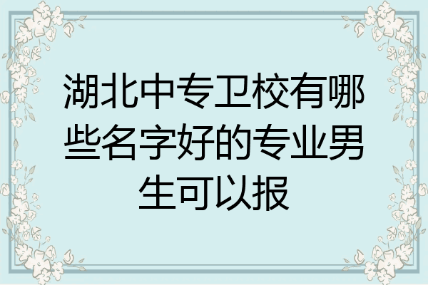 湖北中专卫校有哪些名字好的专业男生可以报
