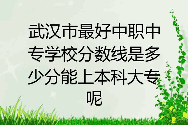 武汉市最好中职中专学校分数线是多少分能上本科大专呢