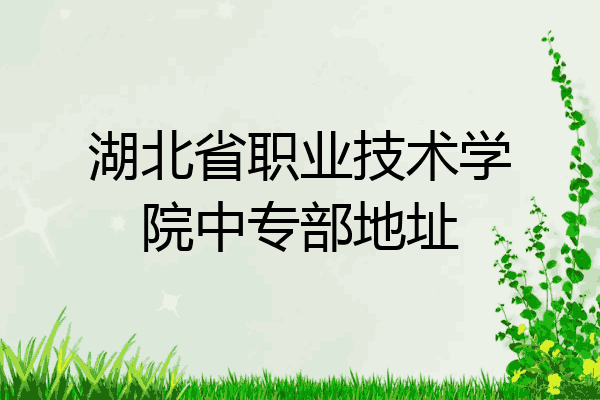 湖北省职业技术学院中专部地址