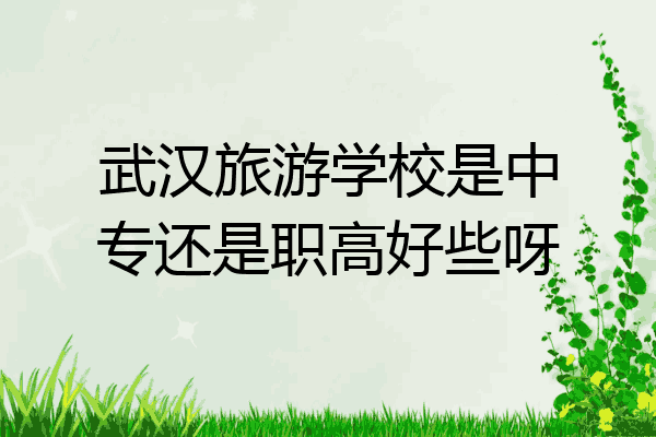 武汉旅游学校是中专还是职高好些呀