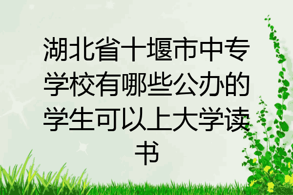 湖北省十堰市中专学校有哪些公办的学生可以上大学读书