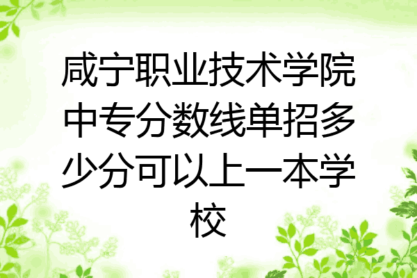 咸宁职业技术学院中专分数线单招多少分可以上一本学校