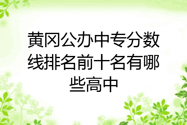 黄冈公办中专分数线排名前十名有哪些高中