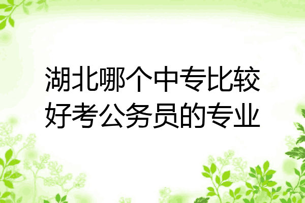 湖北哪个中专比较好考公务员的专业