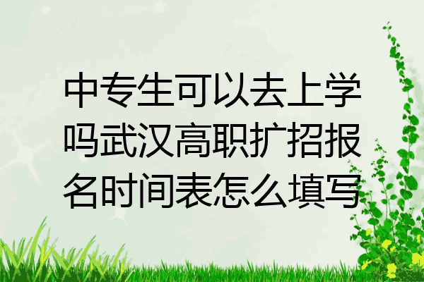 中专生可以去上学吗武汉高职扩招报名时间表怎么填写