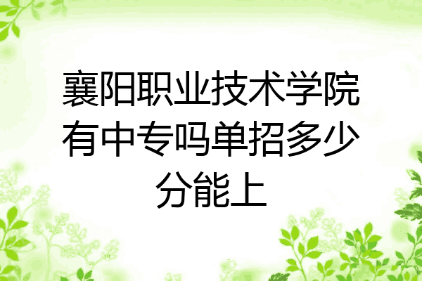 襄阳职业技术学院有中专吗单招多少分能上