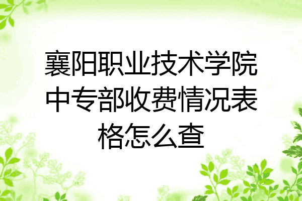 襄阳职业技术学院中专部收费情况表格怎么查