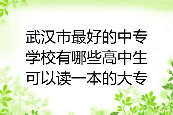 武汉市最好的中专学校有哪些高中生可以读一本的大专