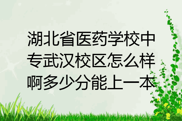 湖北省医药学校中专武汉校区怎么样啊多少分能上一本