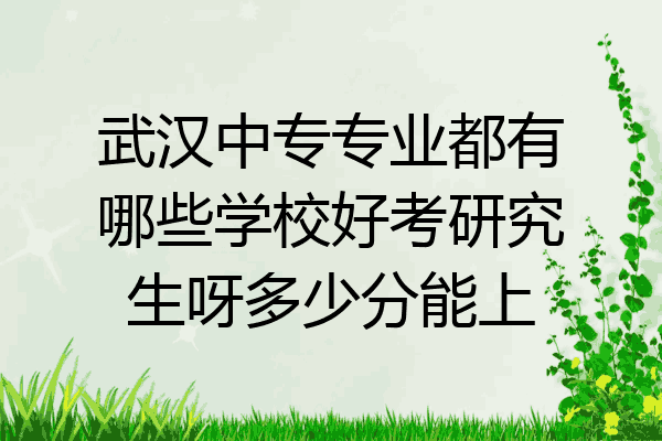 武汉中专专业都有哪些学校好考研究生呀多少分能上