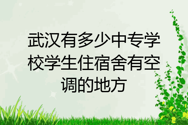 武汉有多少中专学校学生住宿舍有空调的地方