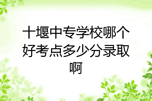 十堰中专学校哪个好考点多少分录取啊