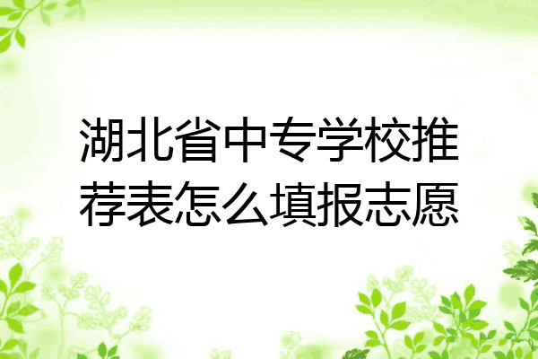 湖北省中专学校推荐表怎么填报志愿