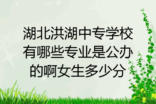 湖北洪湖中专学校有哪些专业是公办的啊女生多少分