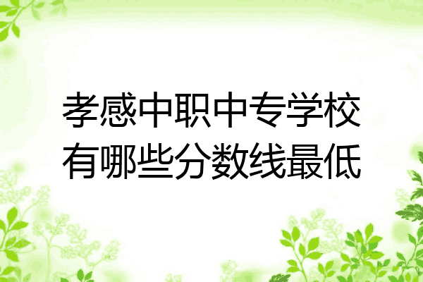 孝感中职中专学校有哪些分数线最低