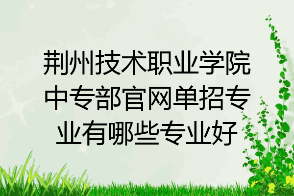 荆州技术职业学院中专部官网单招专业有哪些专业好