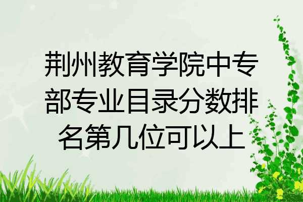 荆州教育学院中专部专业目录分数排名第几位可以上
