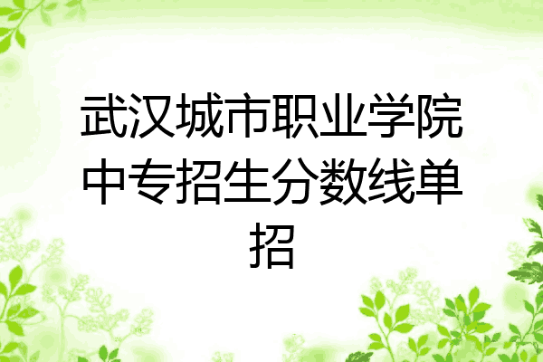 武汉城市职业学院中专招生分数线单招