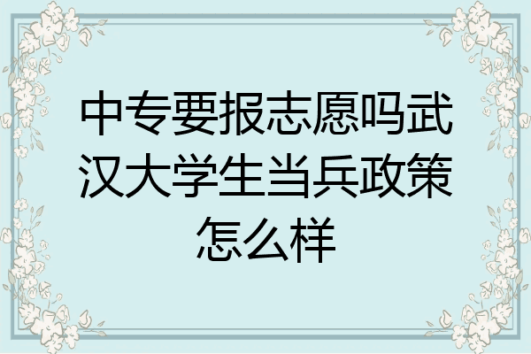 中专要报志愿吗武汉大学生当兵政策怎么样