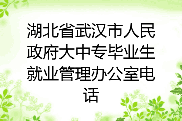 湖北省武汉市人民政府大中专毕业生就业管理办公室电话