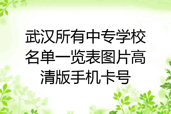 武汉所有中专学校名单一览表图片高清版手机卡号